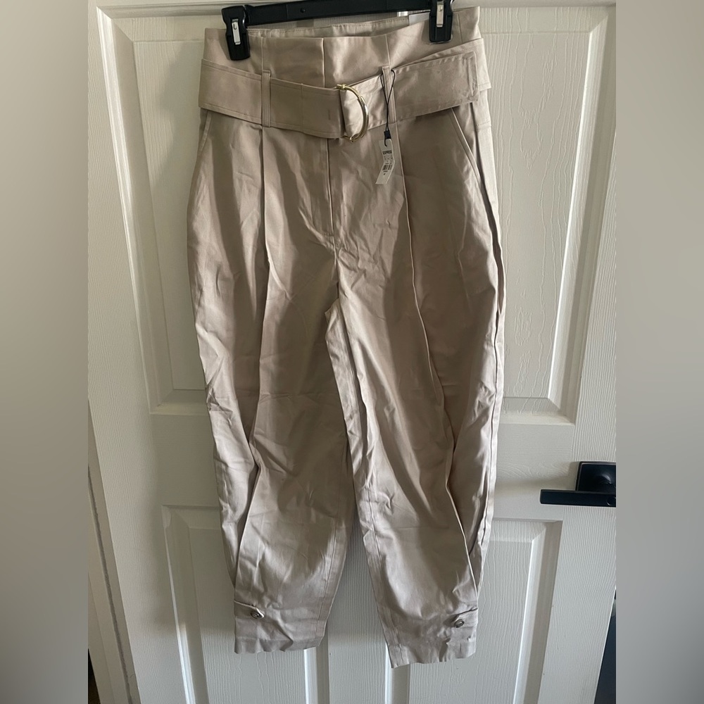 Express Ankle Pants
